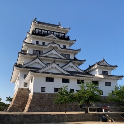 atarashiya10th's profile picture. 《十代目新屋トーマス》🛖高原ログハウスと🌳森林🏕️キャンプサイトオーナー🎣釣活🛹スケボ滑📚kindle読に🎹Spotify聴🔥薪ストーブ浴＋🏯史跡散策 🌞太陽🏝山海の恵みに感謝🍒果樹育 🎏愛鯉⚾️縄文哲学猫🐈家事見習🧹➡️情報詮索DMや副業勧誘・不健全垢は👎 健全DMは👌