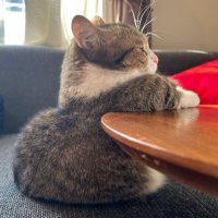 caroline (@carolinehurtad0) 's Twitter Profile