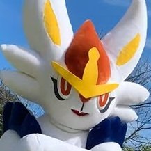 CinderaceMascot's profile picture. 25 ❤️ He/Him 🧡 I’m Cinder, your favorite Cinderace mascot, excited to meet you! 💙 RP account: photos are not mine 🧡 DMs open, SFW only please ❤️ +18 only