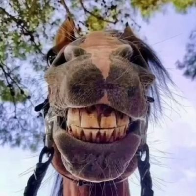 mateusziiim's profile picture. Sou gostoso