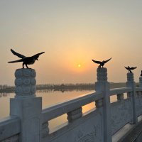 Dr.Jackie (@jackiempb) 's Twitter Profile