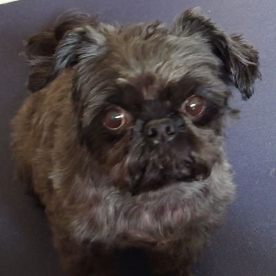 Mandyharri15044's profile picture. 