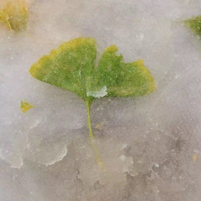 anktlee's profile picture. NPK Fertilizer Production from A to Z.