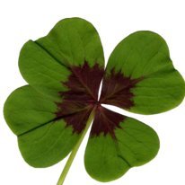 MarieApprentie's profile picture. 