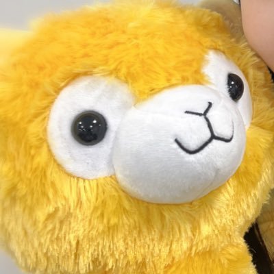 ばひんさんのプロフィール画像