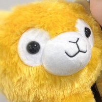 ばひん (@bahiii_nn) 's Twitter Profile