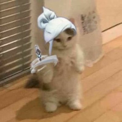 solinity13's profile picture. 🇦🇺 | 🏏 | @NRGgg, @LeviatanGG, @HereticsVal & @pprxteam| @Richmond_FC