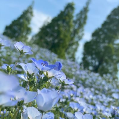 monaka_mini29's profile picture. お得を追いかけたい！懸賞垢