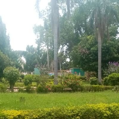لا تفرح بسقوط أخيك المسلم ولا تنشر أخطائه بل استره فأنت محتاج لستر ربك (يوم لا ينفع مال ولا بنون إلا من أتى الله بقلب سليم )