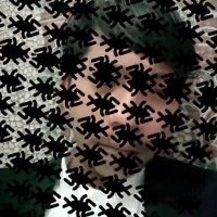 zuleoerico 🦭/acc 🟣 (@zuleo11) 's Twitter Profile