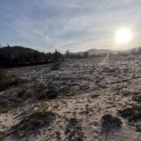 doanh lien ❤️ Memecoin (@doanhlien1) 's Twitter Profile