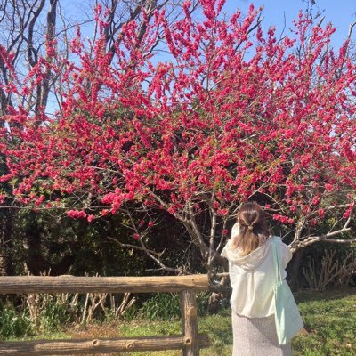 みちゃんさんのプロフィール画像