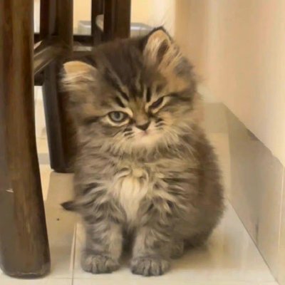 daluzi10's profile picture. 