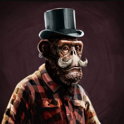 MarkusSchwama's profile picture. 