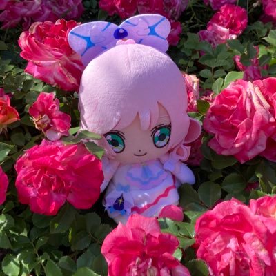 storm(ストーム)@ワクワクランドさんのプロフィール画像