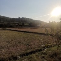 tab ho ❤️ Memecoin (@tabho8) 's Twitter Profile