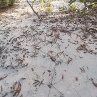 rieng le ❤️ Memecoin (@riengle3) 's Twitter Profile