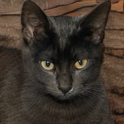 パチ屋で打てる台があるか探すだけで終わることってないよね。喪女の裏垢日記。好きなことをツイートします。気になったらよろしくね~。こんな私だけど、既読感覚でいいねしてくれたら嬉しいです