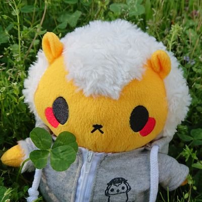 sheepstar528 Profile Picture