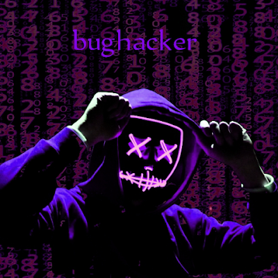 Bughacker140823