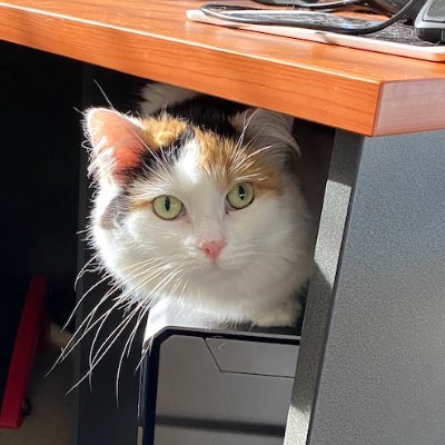 Pongmith3's profile picture. 