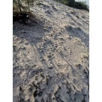 nhi nguyen ❤️ Memecoin (@nhinguy62) 's Twitter Profile