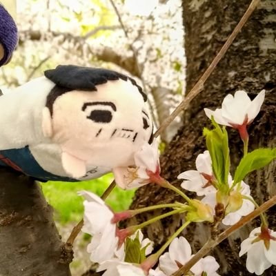 たま