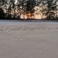 luyen nguyen ❤️ Memecoin (@luyenng51) 's Twitter Profile