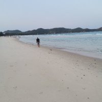 lieu nguyen ❤️ Memecoin (@lieungu4) 's Twitter Profile