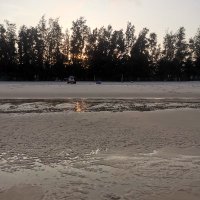 cau cay ❤️ Memecoin (@caucay4) 's Twitter Profile