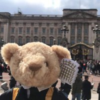 Speaker Bear(@speaker_bear) 's Twitter Profile Photo