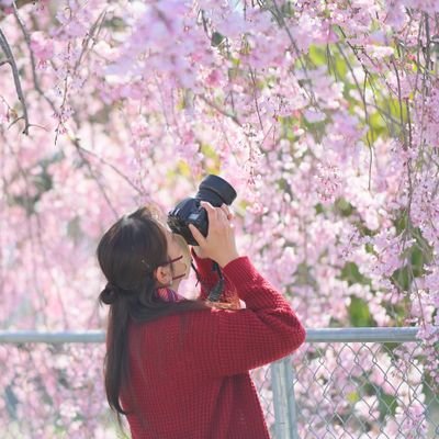 mikup14's profile picture. Nikon女子📷D7500
趣味で、細々と☺️写真撮ってま～す
ひっそりと。。。
たいした写真は撮りません