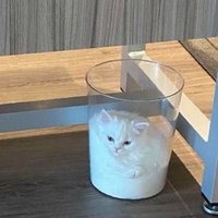 picha (@pichahappiness) 's Twitter Profile Photo picha (@pichahappiness) 's Twitter Profile Photo