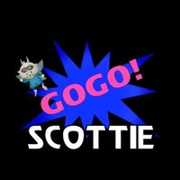 スコッティ(@scottieDQX) 's Twitter Profile Photo