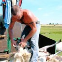 Kerry Snell - @kerryfencer - Twitter