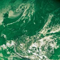 🌿 The Green Progressive 🌿 (@greenprogressve) 's Twitter Profile