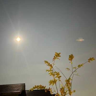 projectdelta365's profile picture. Taming the beast named consistency & road to making my first solopreneur $1. Growth is the name of the game. Building my foundation with better sleep habits 1st