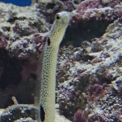 ta20689983's profile picture. 