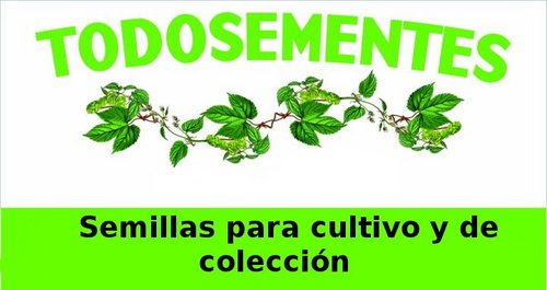 Nos dedicamos a todo lo relacionado con el cultivo ecológico y la sostenibilidad del proceso.
Mejora continua.