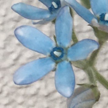 Rrrrrrrr_Sen07's profile picture. 千賀くんに翻弄されてる大人キスマイ担♡2011〜千賀くん♡2015新春ファンサ😇 https://t.co/rjhxJqoEUt ㊗️CM https://t.co/2PTOT7Erun ♢♢2016ヒゲダン♡新宿LOFT「ニュー歌謡祭」〜