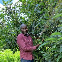 Collins Ngetich🇰🇪 (@collinsngetich) 's Twitter Profile Photo