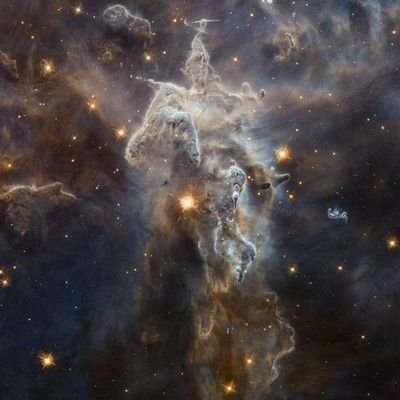 imvikasneema's profile picture. Don't Judge. Follow your vibes, Love the nature & respect your elders. com'on Let's do some epic shit.😂😋😜