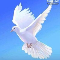 Tırcı (@mustafasoy83675) 's Twitter Profile