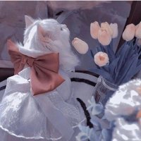 خديجه💙 (@lalbi_77) Twitter profile photo