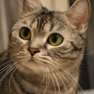 jackhua0911's profile picture. 一个奋斗的普通人