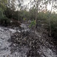 dung mo ❤️ Memecoin (@dungmo11) 's Twitter Profile