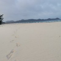 bach ly to ❤️ Memecoin (@bachlyto1) 's Twitter Profile