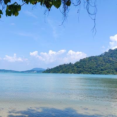 chasechong9292's profile picture. 