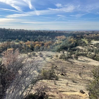 Zebra3887445015's profile picture. 