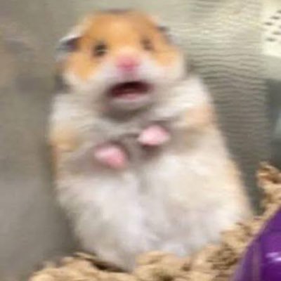 いあさんのプロフィール画像
